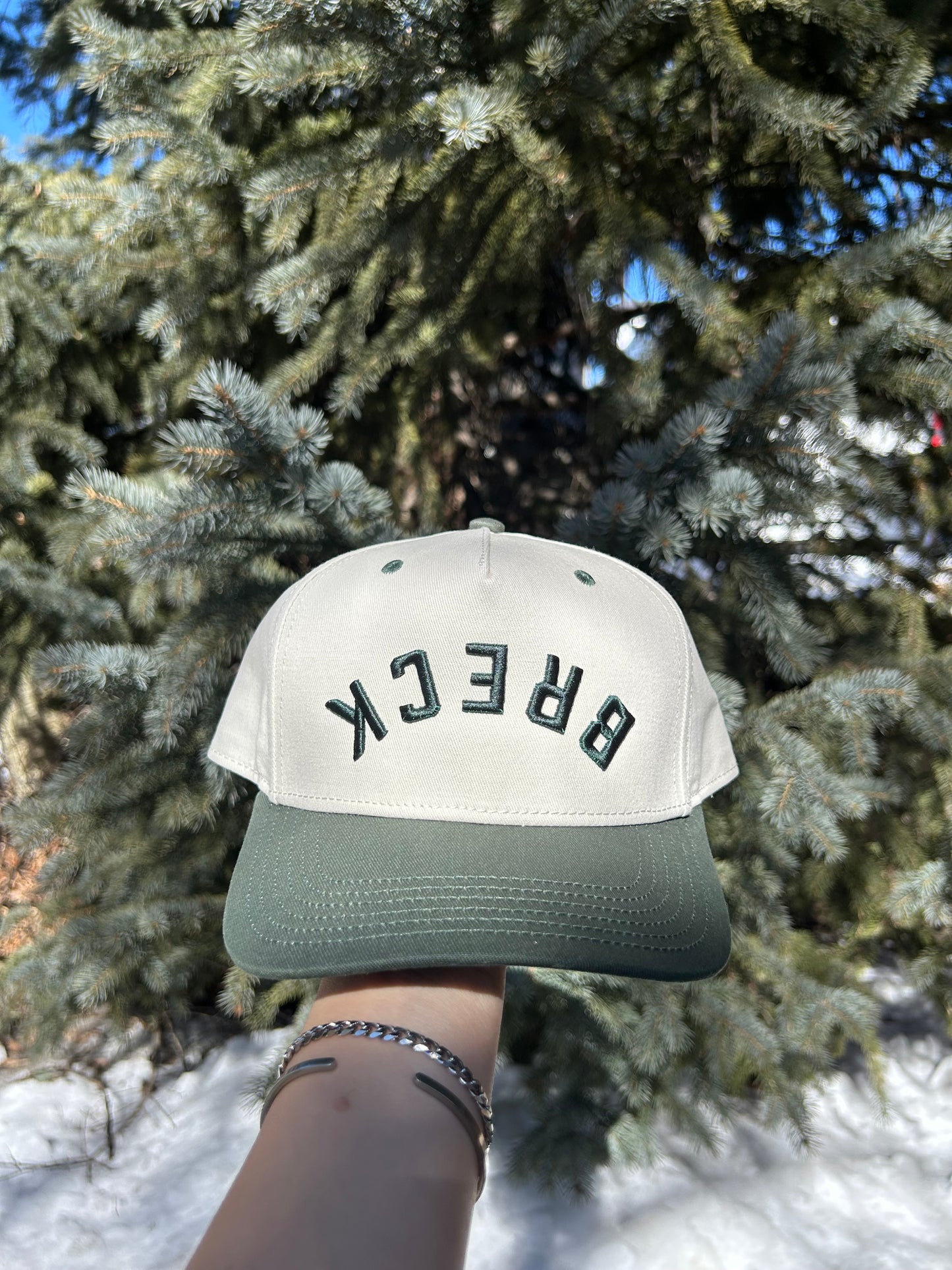 Upside Down Reverse Breck Cap