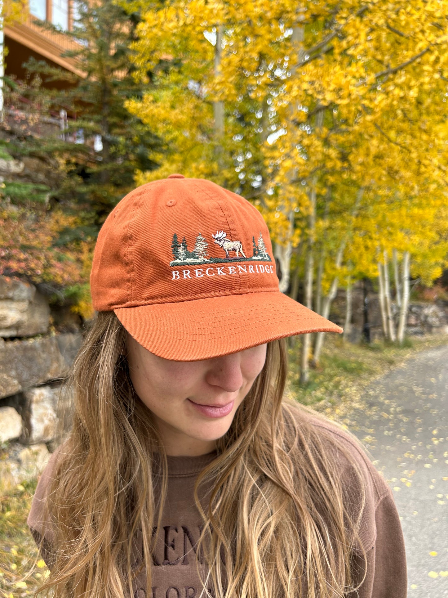 Embroidered Breckenridge Moose Cap