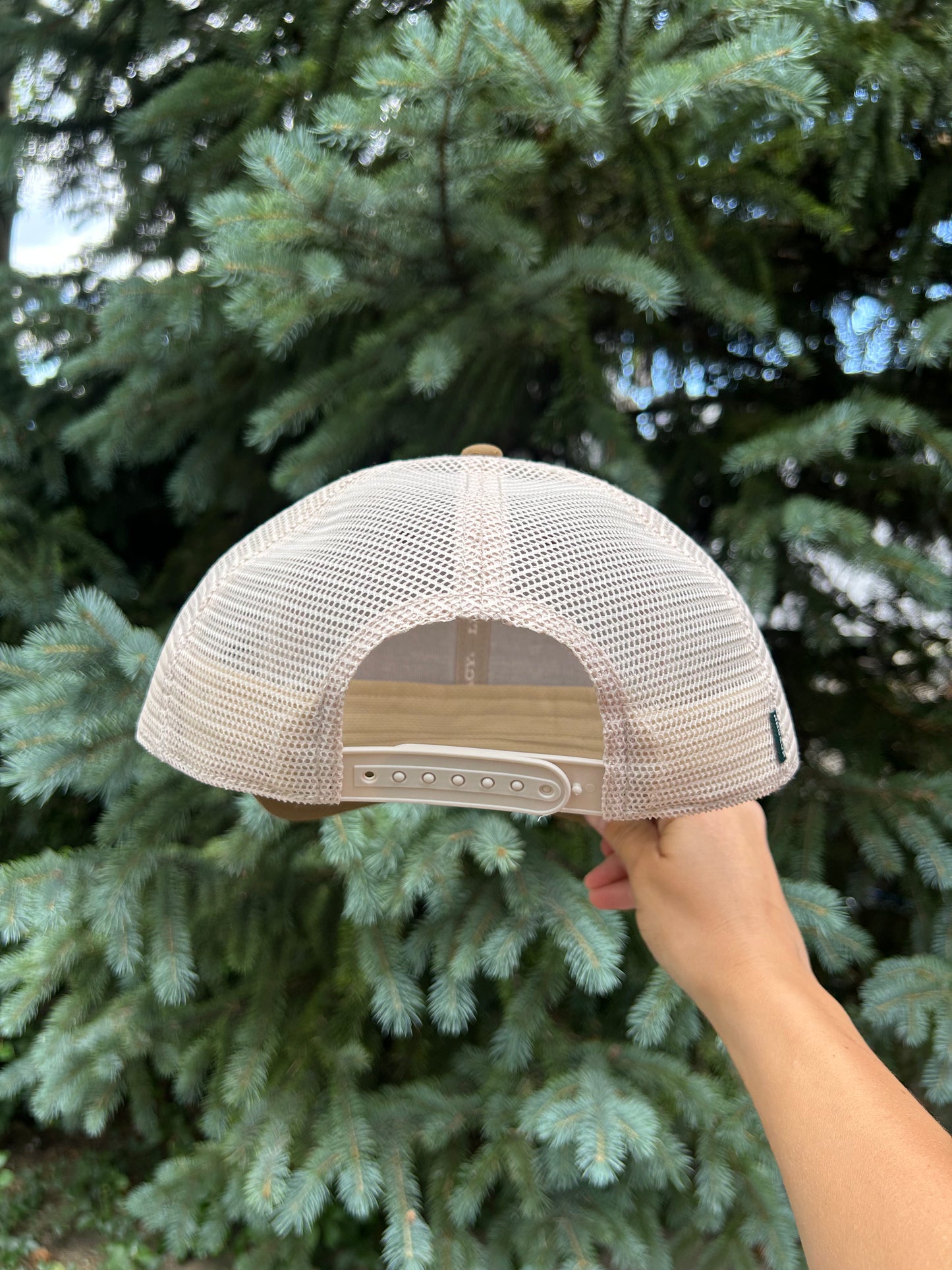 Breck Mountain Arch Patch Cap