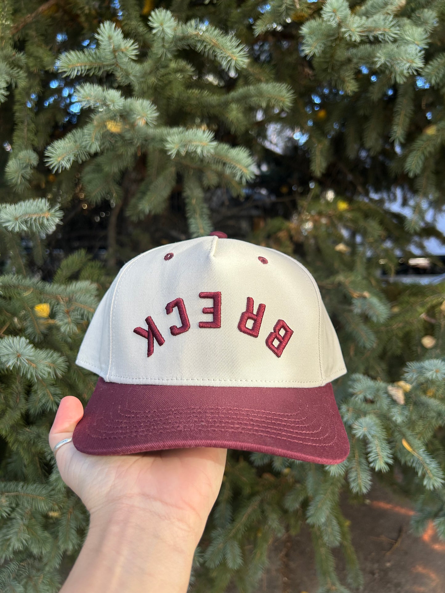 Upside Down Reverse Breck Cap