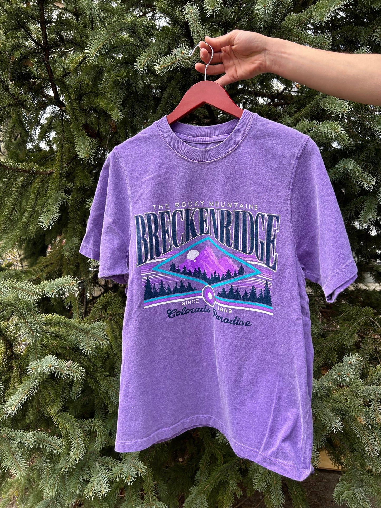 Heavyweight Breck Tee