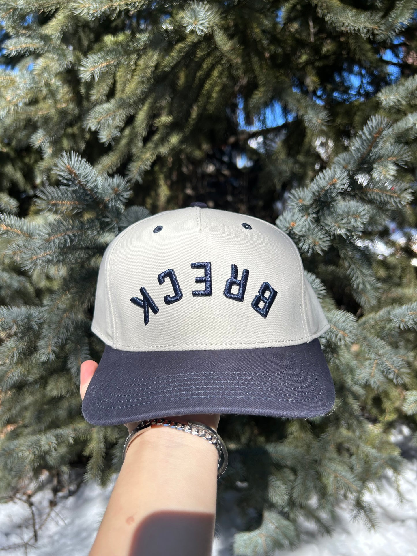 Upside Down Reverse Breck Cap
