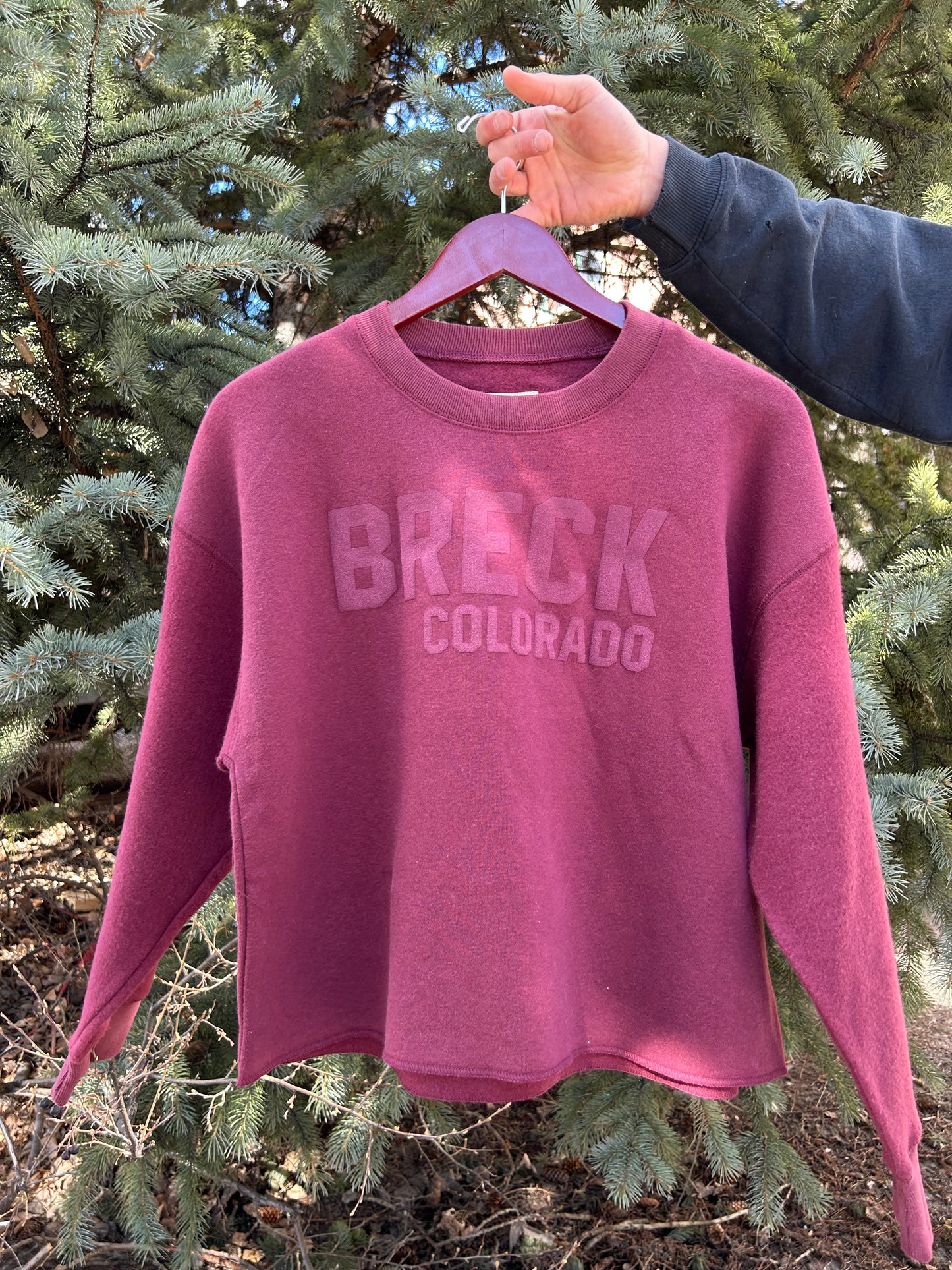 Cropped Breck Fleece Sweatshirt