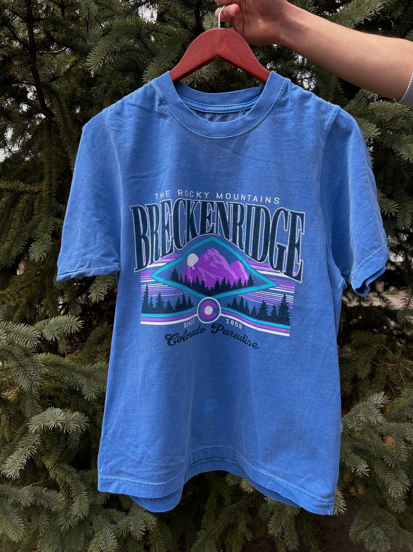 Heavyweight Breck Tee